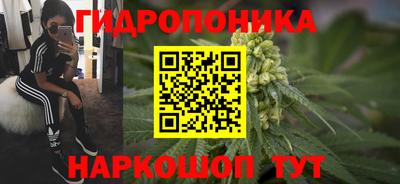 прущие грибы Татарск