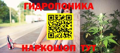 прущий лед Тара