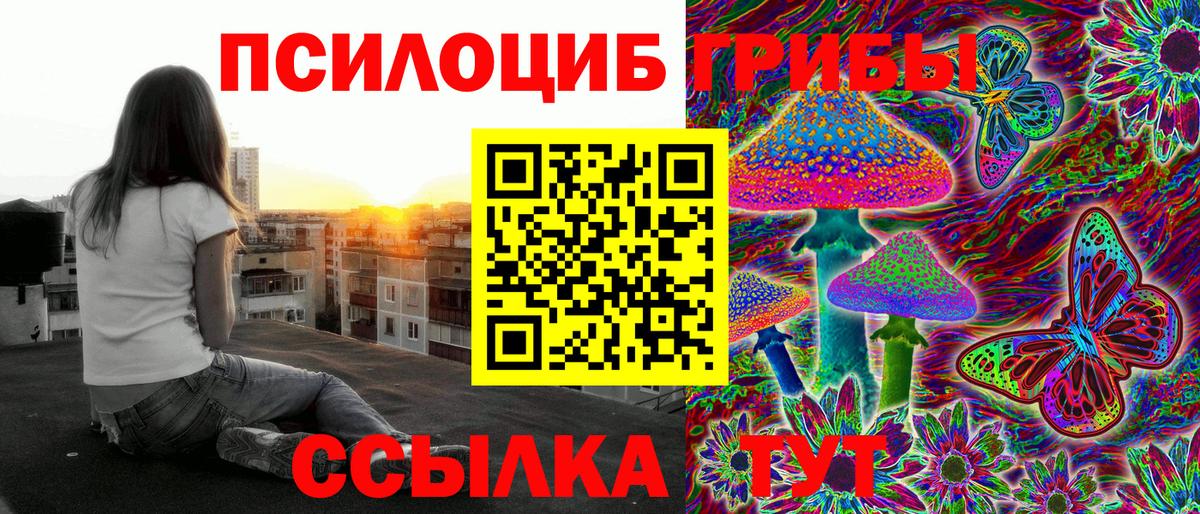 Галлюциногенные грибы Psilocybine cubensis  Вход с VPN  Новый Уренгой 